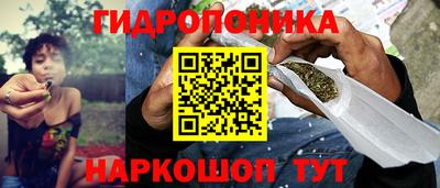 прущие грибы Апрелевка