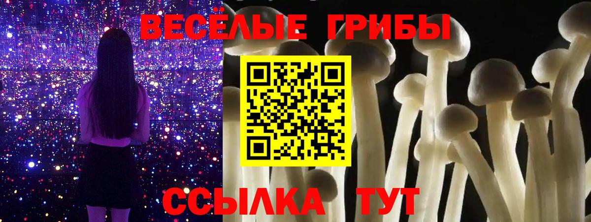 Богородск  Галлюциногенные грибы ЛСД  Галлюциногенные грибы мухоморы  Вход с VPN 