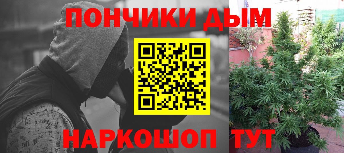 Богородск  Конопля White Widow  Конопля тримм  Конопля Bruce Banner  Вход с VPN 